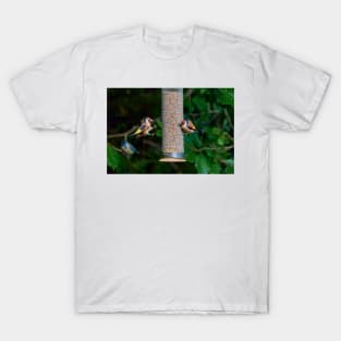 Squabbling Goldfinches T-Shirt